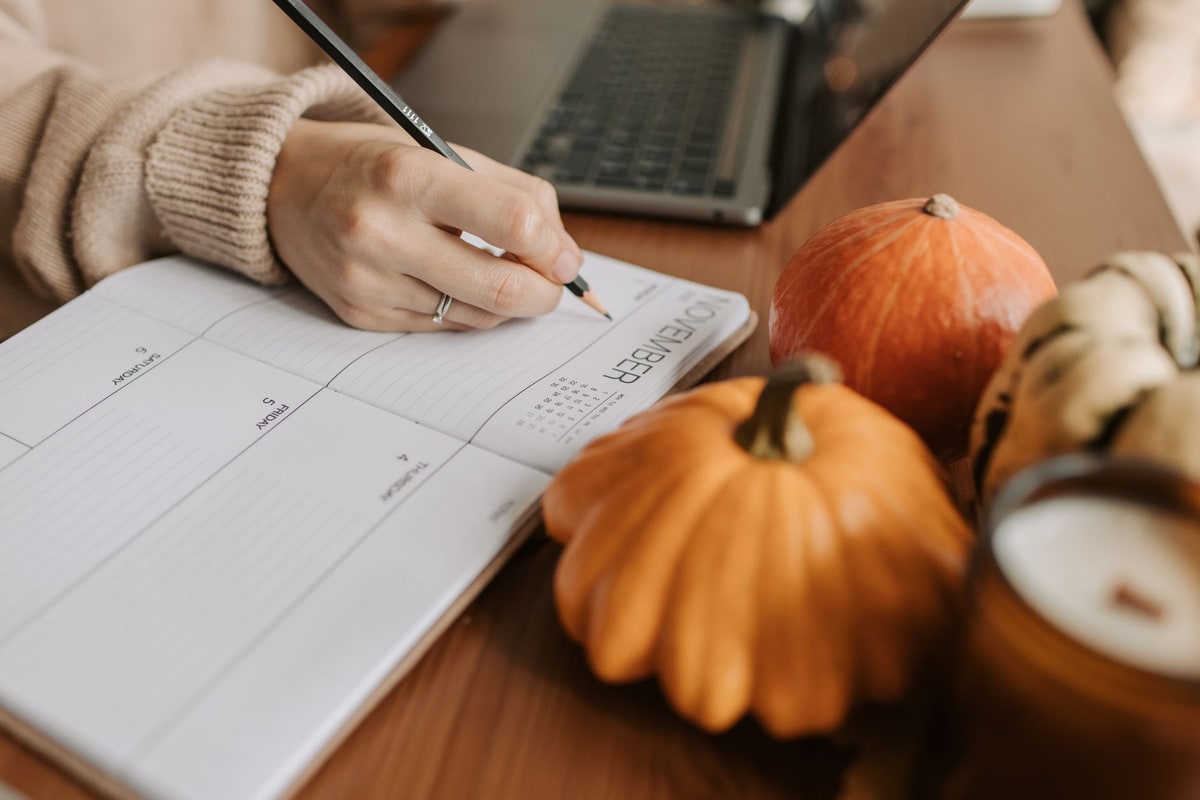 Calendar availability rules reviewed before chatbot launch